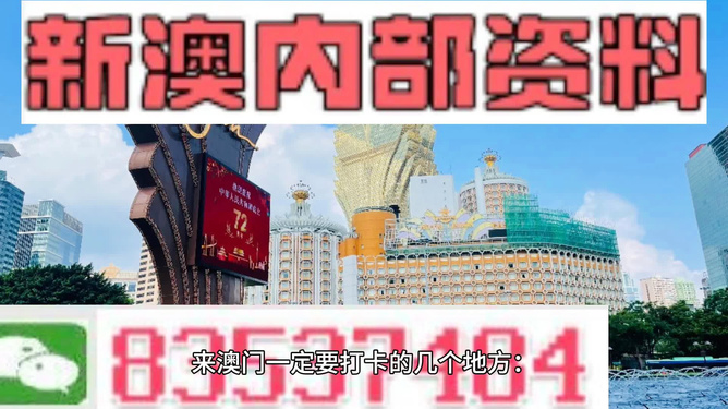 新澳门免费精准大全精选解析与解释落实
