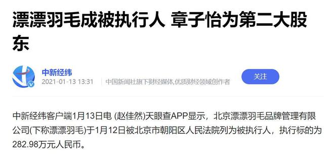 2025年新澳正版免费料与警惕虚假宣传-全面释义、解释与落实