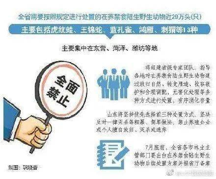 2025年正版资料免费大全48的警惕虚假宣传-全面释义、解释与落实