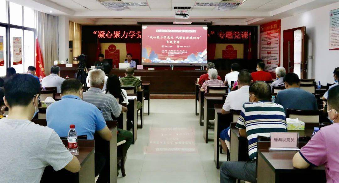 2025新澳精准正版免费大全精选解析与解释落实