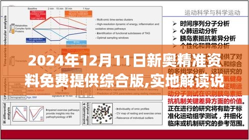 2025精准资料免费大全全面释义、解释与落实